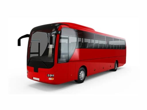 Buses